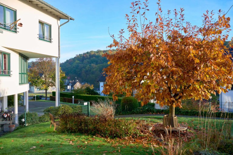 wohn-und-pflegeheim-bergeck-anlage